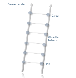 Figure 1. Anatomy of the career ladder
