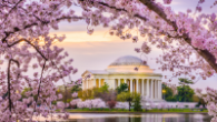 The Cherry Blossom Prediction Competition, sponsored by the George Mason Department of Statistics, is searching for accurate, interpretable predictions for when cherry blossom trees bloom.