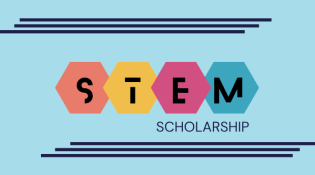 Heaxagons with the letters STEM in them and then the word scholarship underneath
